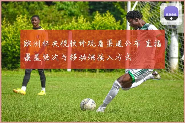 欧洲杯央视软件观看渠道公布 直播覆盖场次与移动端接入方式