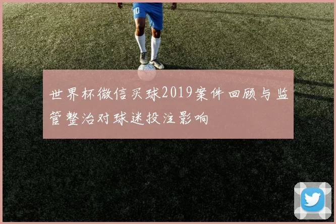 世界杯微信买球2019案件回顾与监管整治对球迷投注影响